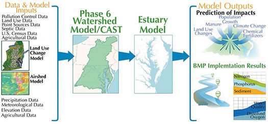 ‘CAST’ lets local officials run test scenarios for Bay cleanup practices